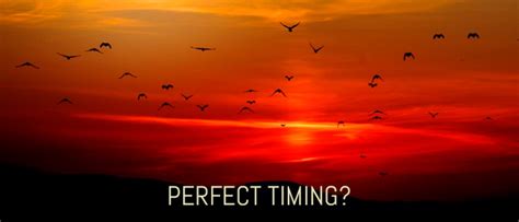 Image result for Correct Timing