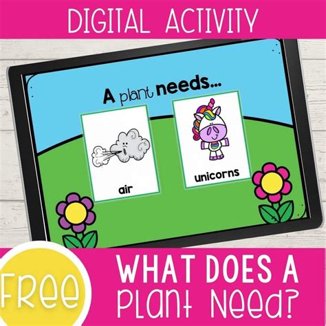 Rezultat imagine pentru Interactive Activity