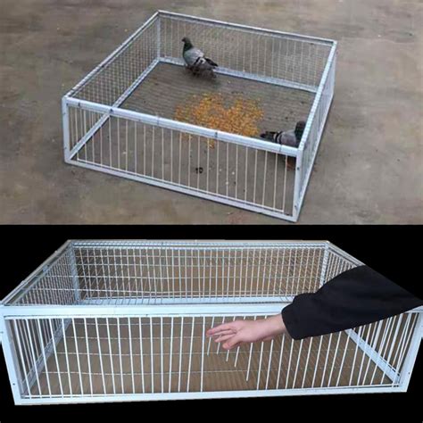 SRRPS PIGEON Pigeon Loft Entrance Door - Racing Supplies for Pet India ...