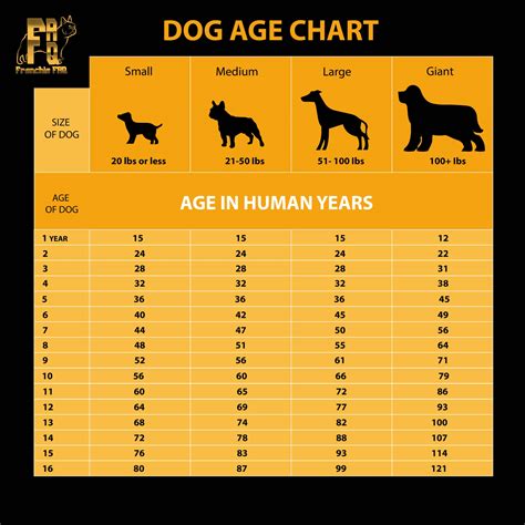 Dog Years to Human Years: It’s Not 7 Years to 1 Year
