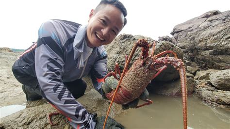 小明赶海一年多抽过几百个水坑，第一次发现这么给力的大龙虾，太棒了 - YouTube