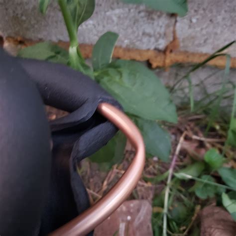 Image result for Install Min Split Line Set