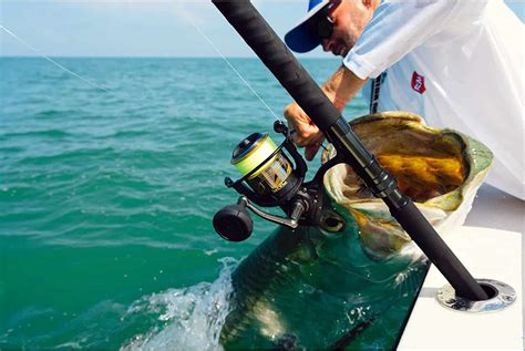 Image result for Catching Murray Cod On Lures Land-Based