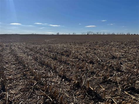 All Auction Sales | Ruhter Auction & Realty, Inc.