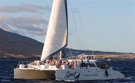 Deluxe Whale Watching Sail in Maui - Klook India