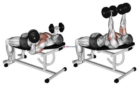 Dumbbell Incline reverse-grip 30 degrees bench press - Home Gym Review
