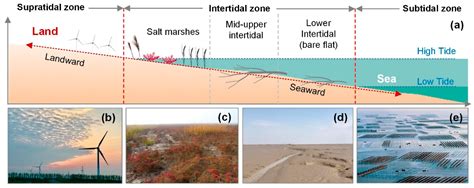 Morphological Characteristics of Tidal Creeks in the Central Coastal ...