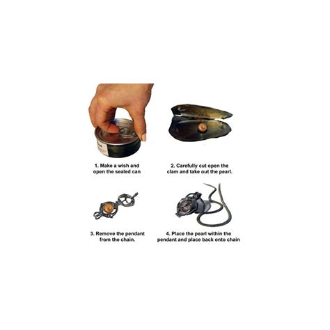 Buy Love Pearl Creations Zodiac Wish Kit with Pendant Necklace (Aries ...