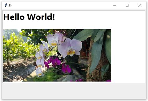 Image result for Embed HTML in Tkinter