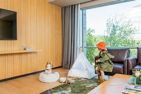 HYATT REGENCY BEIJING WANGJING - Hotel Reviews, Photos, Rate Comparison ...