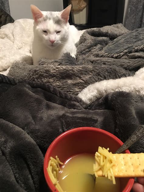 Nothing special but soup is the only thing I want pretty much daily ...