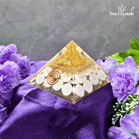 Gomati chakra With Sri Chakra Pyramid- To Attract Godess Lakshmi ...