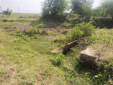The work on the causeway on the canal near Balamba remained incomplete ...
