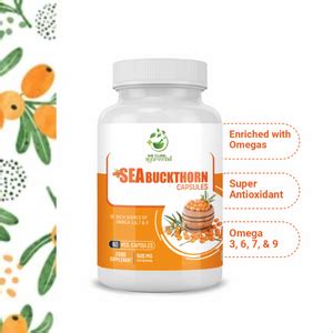 Wecureayurveda Sea Buckthorn Capsules Supercritical Omega 7 with Sea ...