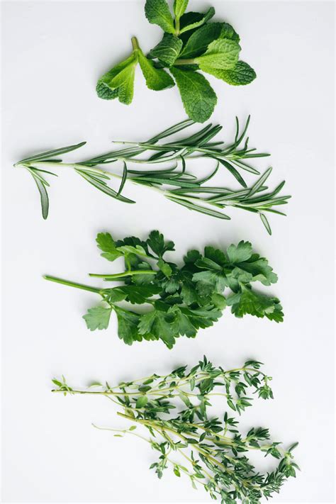 Mixed Herbs (Homemade) - Yummieliciouz