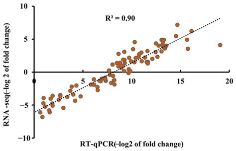 Comparative Analysis of Root Transcriptome of High-NUE Mutant and Wild ...