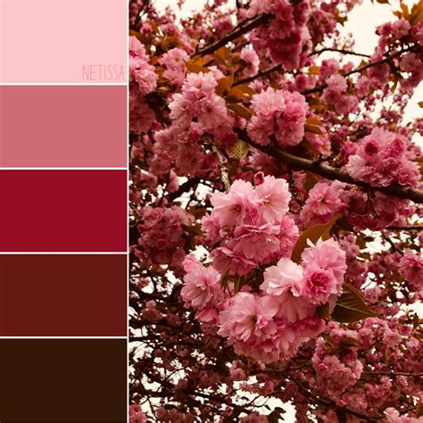 Color Palette Inspiration