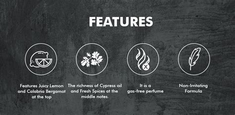 Denver SRK Forest Wood - Refreshing Men's Fragrance | Denverformen