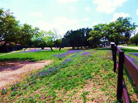 THOUSAND TRAILS MEDINA LAKE (Lakehills) - Campground Reviews, Photos ...