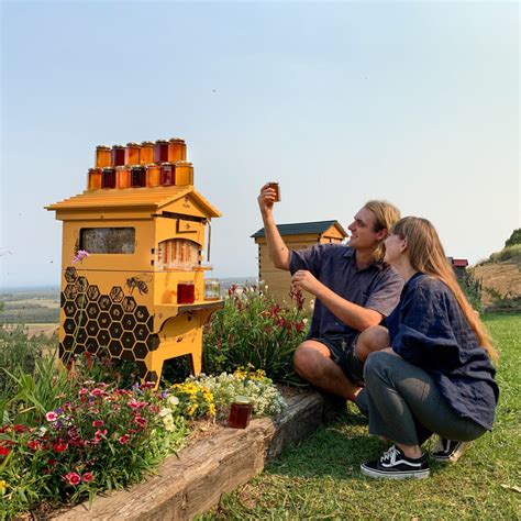 Image result for Flow Hive eBay