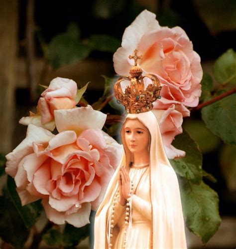 Roses of Fatima | Lady of fatima, Blessed mother mary, Fatima