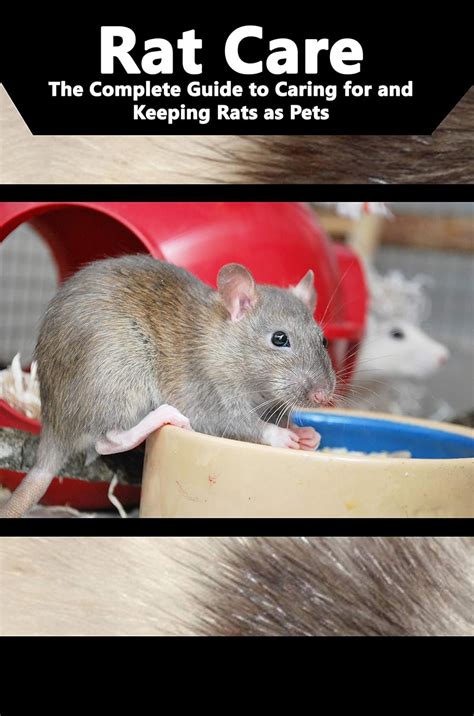 Rat Care: The Complete Guide to Caring for and Keeping Rats as Pets ...