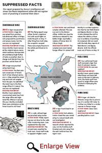 PannaÃ”Ã‡Ã–s poaching nexus exposed