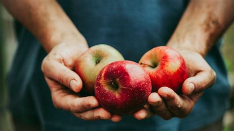 Bayer launches project to strengthen apple value chain in India | Bayer ...