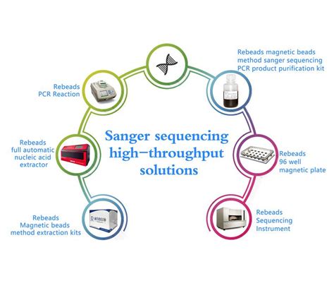 DNA Sequencing Technologies 的图像结果