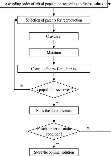 Image result for Genetic Algorithm Code