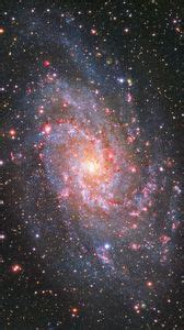 Samsung galaxy s4, s5, note, sony xperia z, z1, z2, z3, htc one, lenovo ...