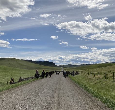 Wanted - Ranch Hand - Ranch Job with Opportunity - Montana