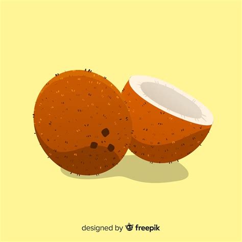 Coco de mer Vectors - Download Free High-Quality Vectors from Freepik ...