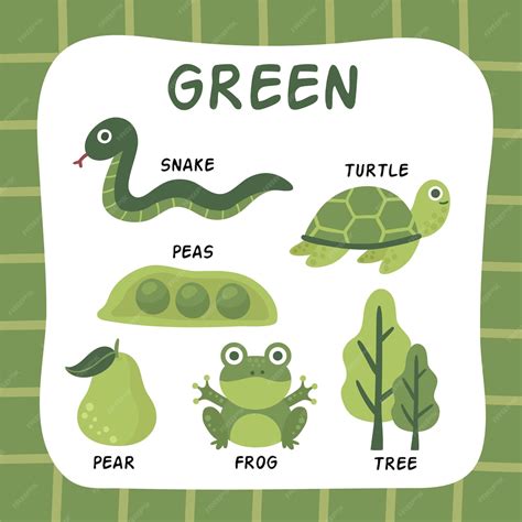 Color verde y vocabulario en inglés. | Vector Gratis