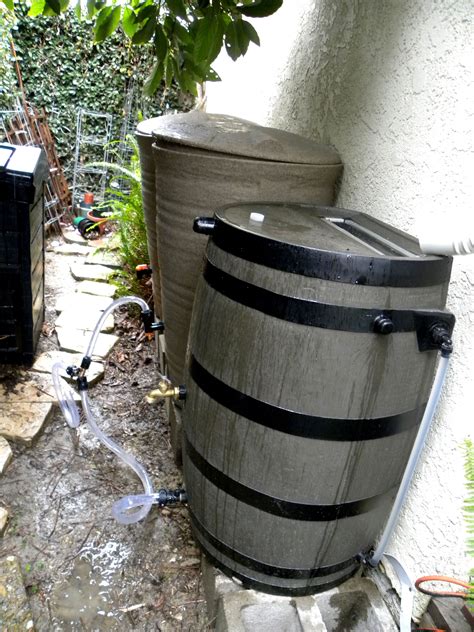 Connecting rain barrels in series | Lou Murray's Green World