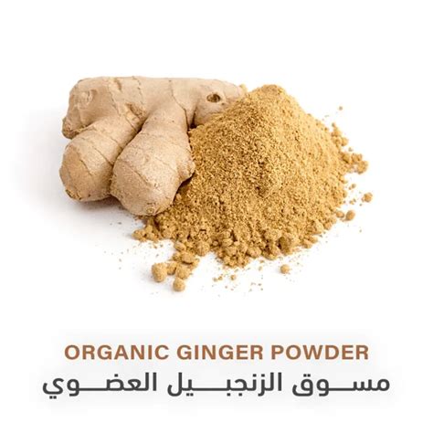 مسحوق الزنجبيل العضوي، 100 غرام Organic Spices Ginger Powder, 100g