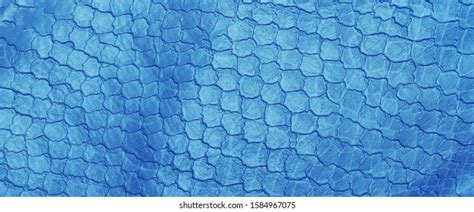 Banner Scripting Python 的图像结果