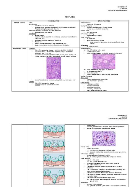 Image result for Tutorial of Neoplasm Table