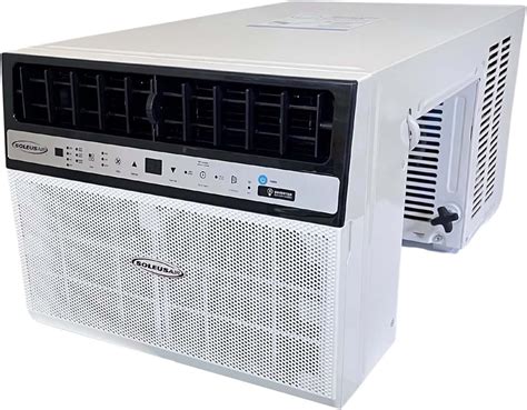 Amazon.com: Soleus Air WS4-10EHW-301 10,000 Saddle Mini Split AC Window ...