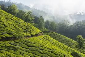 LookInDharamshala – Dharamshala Attractions & Travel Guide