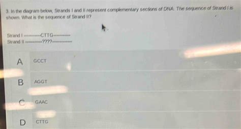 Image result for Complementary Strand with Backbone