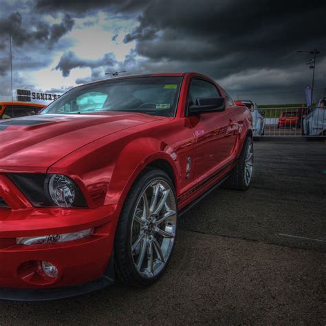 Download wallpaper 1280x1280 ford mustang shelby gt500, ford mustang ...