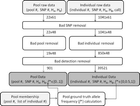 Data Cleaning Workflow 的图像结果
