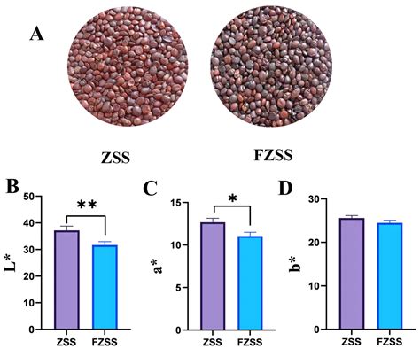 Analysis of Components in Ziziphi Spinosae Semen Before and After ...