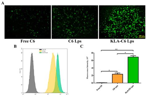 Co-Delivery of 5-Fluorouracil and Paclitaxel in Mitochondria-Targeted ...