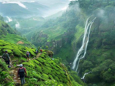 Discover The 7 Hidden Gems Of Wayanads Unexplored Beauty