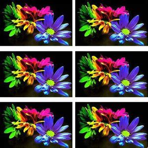 REVEXO Rectangular Pack of 1 Table Placemat - Buy REVEXO Rectangular ...