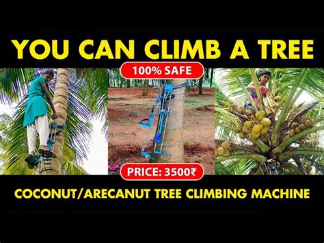 Coconut tree Climbing Machine | Arecanut tree Climbing Machine
