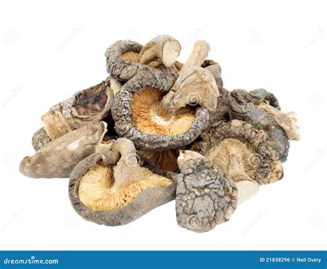 Dried Shiitake Mushrooms stock photo. Image of cutout - 21838296
