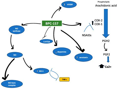 Buy BPC-157, TB-500, GHK-Cu Peptide Blend | 99% Purity